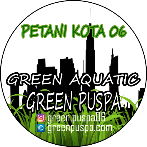Green Puspa